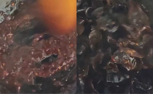 Build the Sauce & Cook the Wood Ear Mushrooms