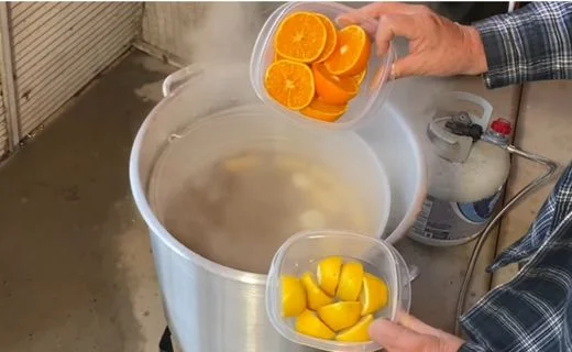 Add Corn, Lemons & Oranges