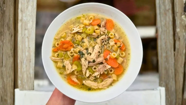 Stalekracker Chicken Noodle Soup Recipe