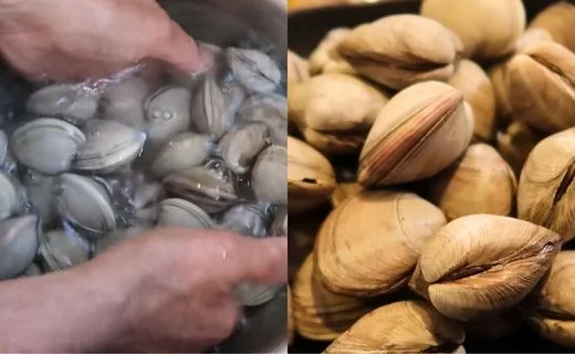 Clean the Clams Thoroughly